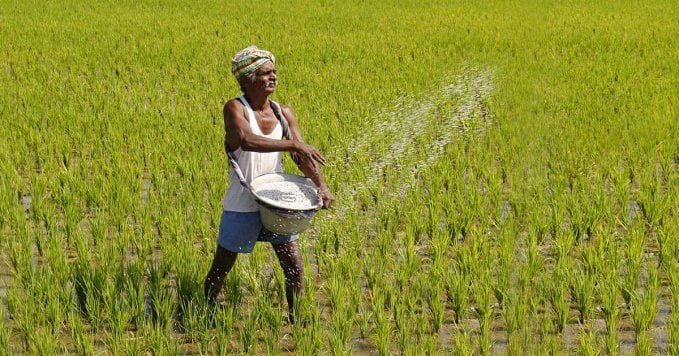 Farmers Benefit from Rs. 9.5 Billion Fertiliser Subsidy Today