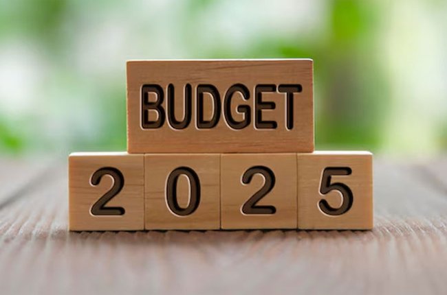 2025 Sri Lanka Budget Postponed Due to Elections