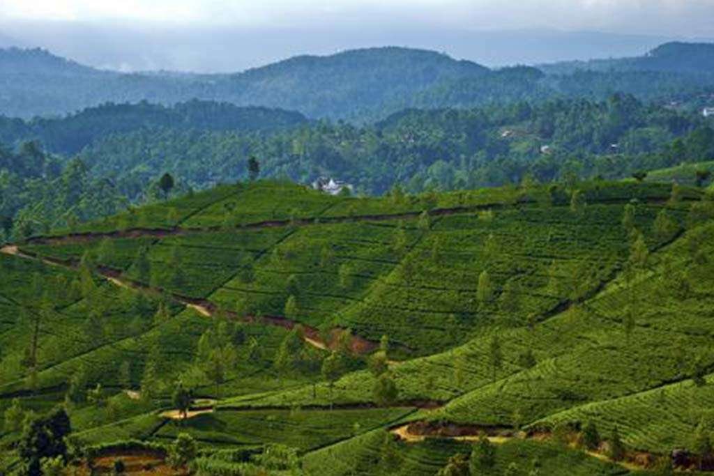 Sri Lanka to Open Underutilised Government Lands for Private Investment