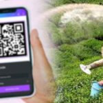 Government Unveils Rs.200M Tea Fertilizer Subsidy with QR Code